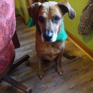 Any reasonable offer accepted.